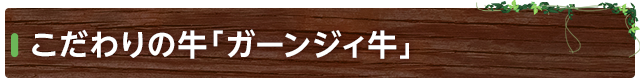 こだわりの牛「ガーンジィ牛」