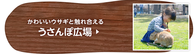 かわいいウサギと触れ合える うさんぽ広場