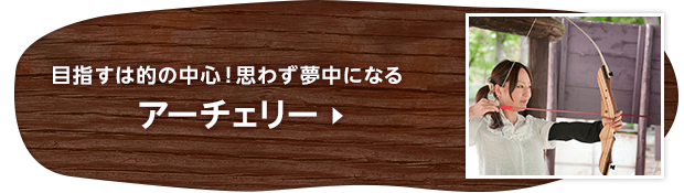 目指すは的の中心！思わず夢中になる アーチェリー