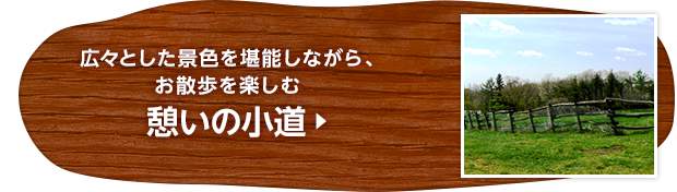 広々とした景色を堪能しながら、お散歩を楽しむ憩いの小道