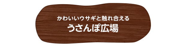 かわいいウサギと触れ合える うさんぽ広場