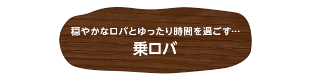 穏やかなロバとゆったり時間を過ごす…乗ロバ