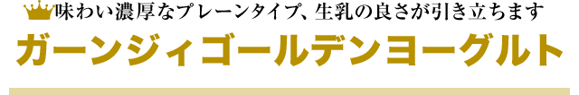 味わい濃厚なプレーンタイプ、生乳の良さが引き立ちます ガーンジィゴールデンヨーグルト