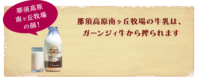 那須高原南ヶ丘牧場の顔 那須高原南ヶ丘牧場の特選牛乳は、ガーンジィ牛から搾られます「ガーンジィ牛の詳細はこちら」