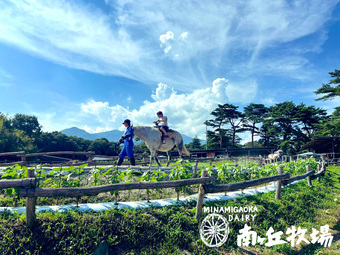 画像中央上